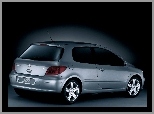 Sport, Peugeot 307