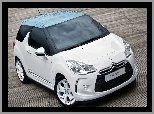 Citroen DS3, Molo