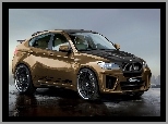 G- Power, BMW, X6