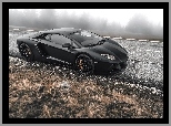 Mgła, Drzewa, Adventador, Lamborghini, Droga