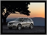 Audi Q5 SUV