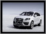 Atrapa, Audi Q7