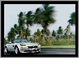 Palmy, BMW Z8